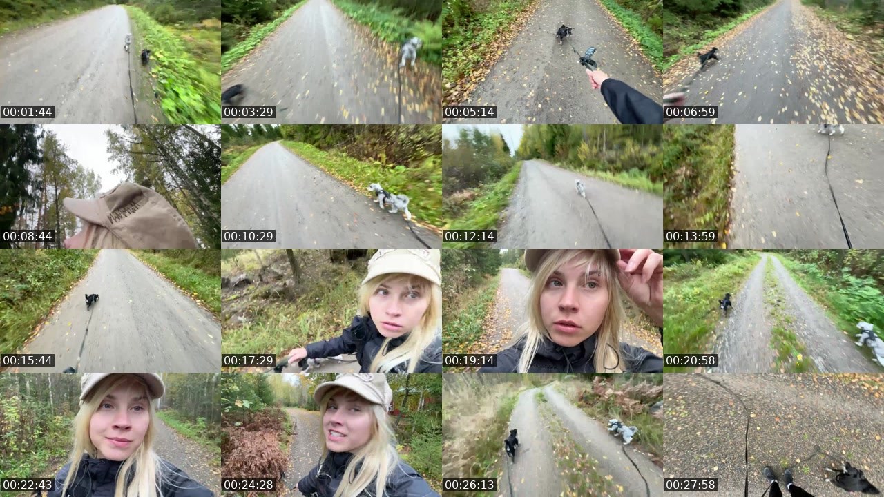 Contact-sheet preview of mmilla's Twitch recording