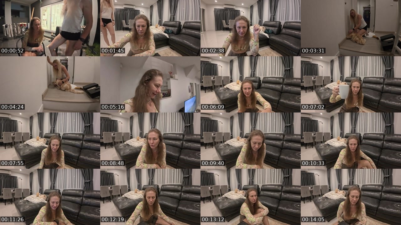 Contact-sheet preview of rodinafromthai's Twitch recording
