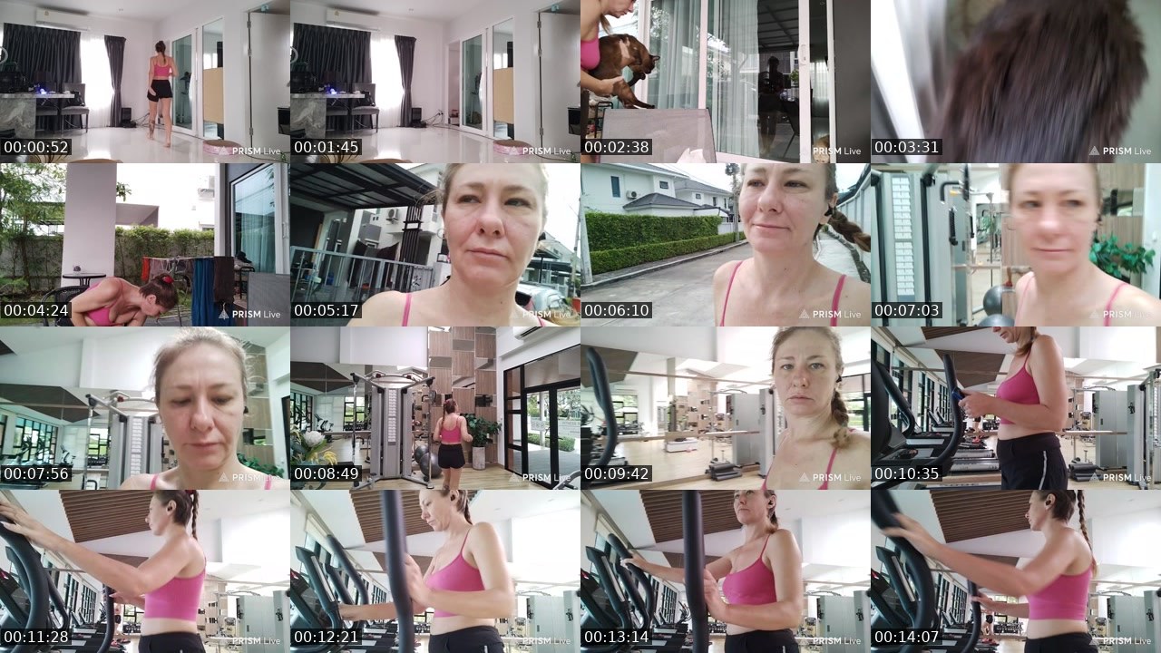 Contact-sheet preview of rodinafromthai's Twitch recording