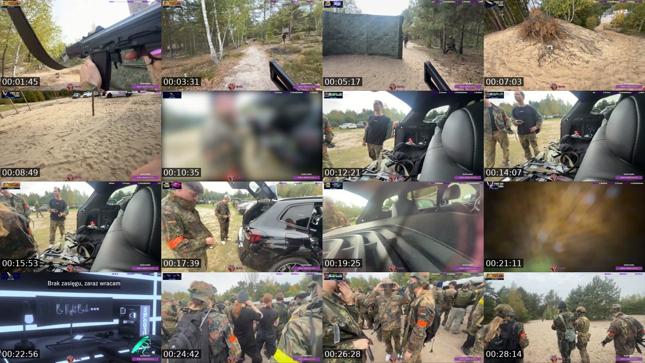 Contact-sheet preview of hipatty's Twitch recording