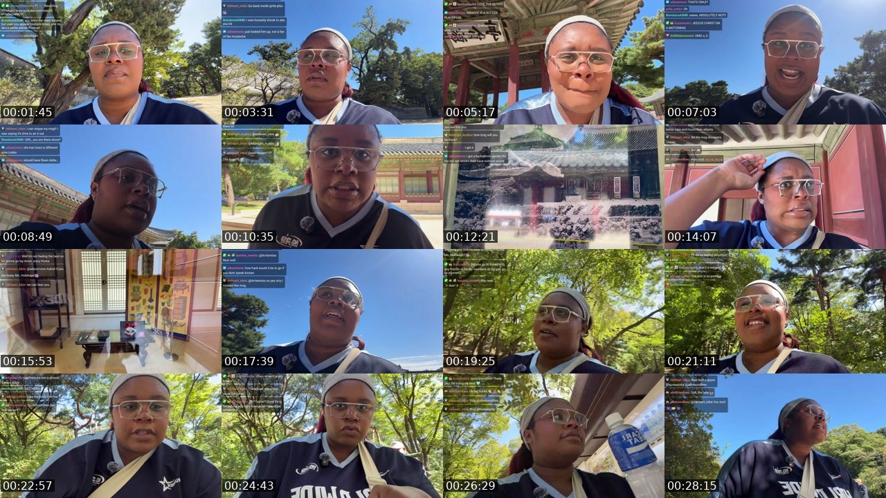 Contact-sheet preview of Hobikage's Twitch recording