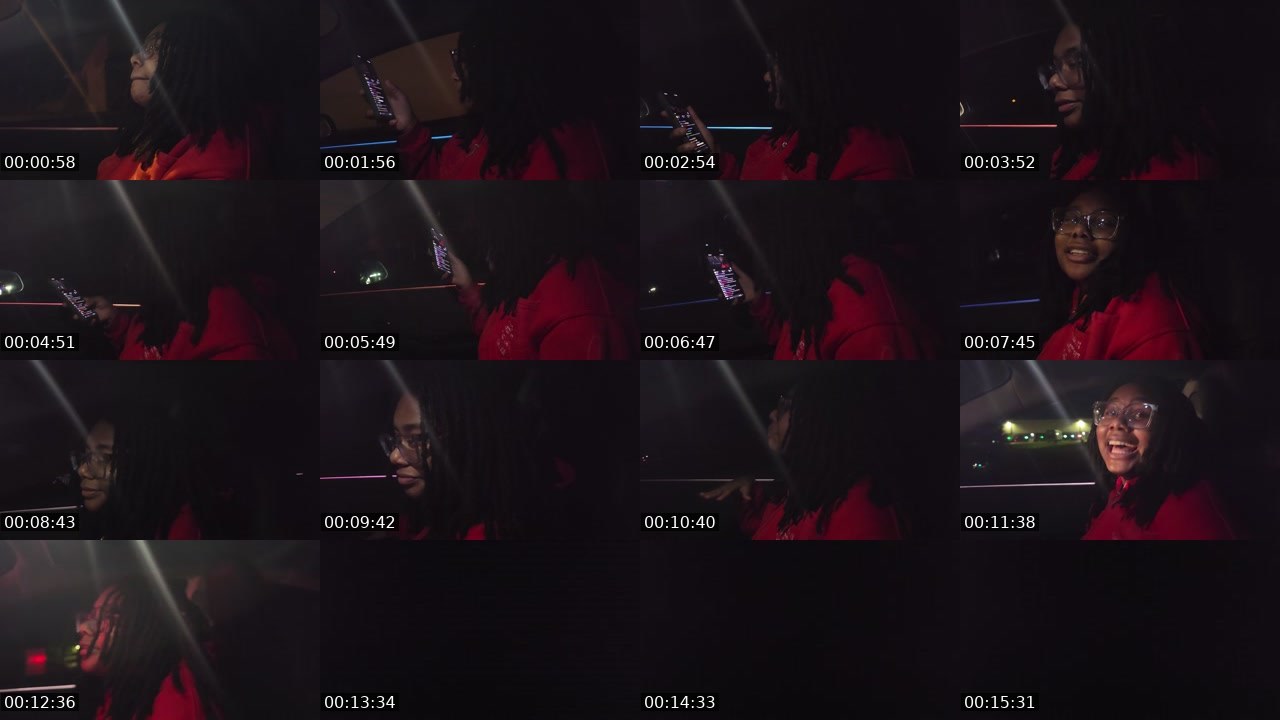 Contact-sheet preview of SheCarry's Twitch recording