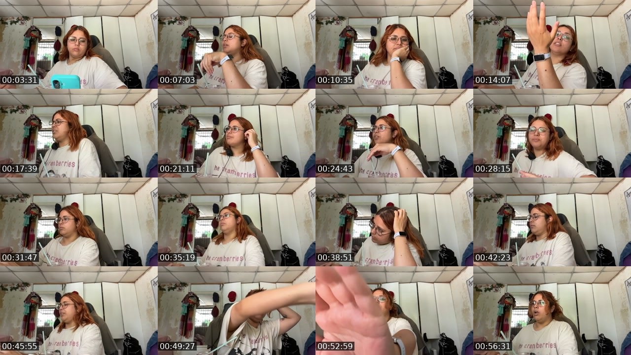 Contact-sheet preview of maidared's Twitch recording