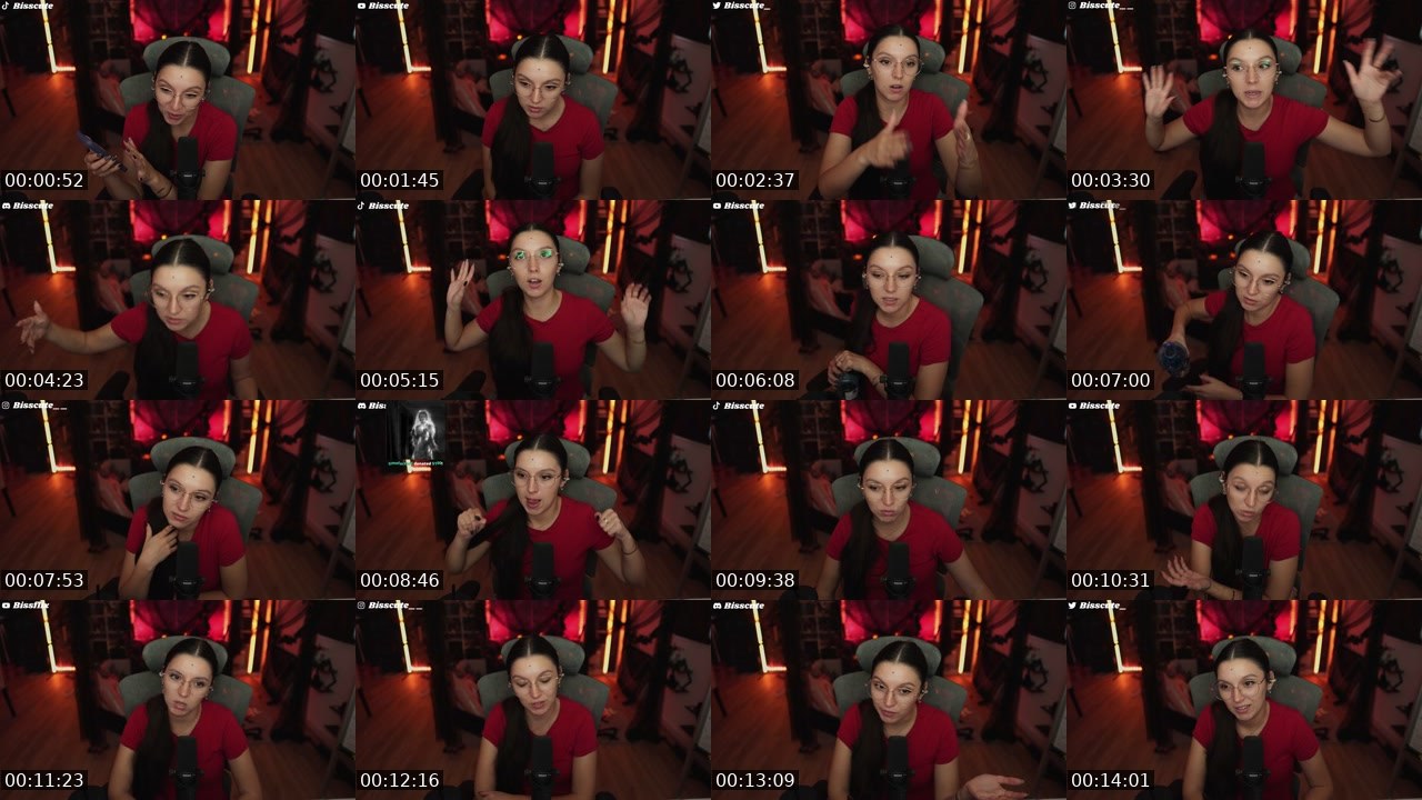 Contact-sheet preview of Bisscute's Twitch recording
