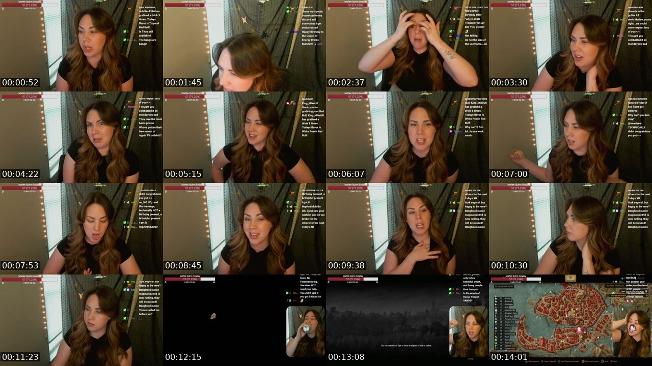 Contact-sheet preview of imarleee's Twitch recording