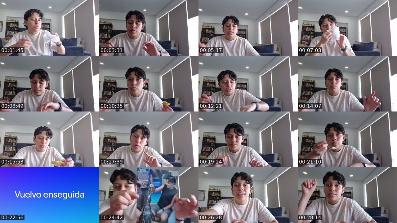Contact-sheet preview of tijerayplomo's Twitch recording