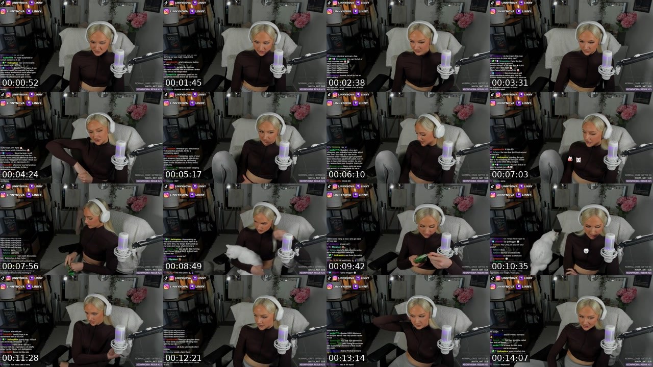 Contact-sheet preview of Linny's Twitch recording