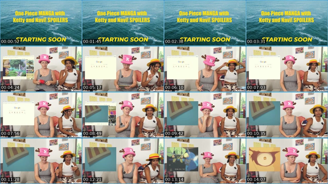 Contact-sheet preview of TheNormiesTV's Twitch recording