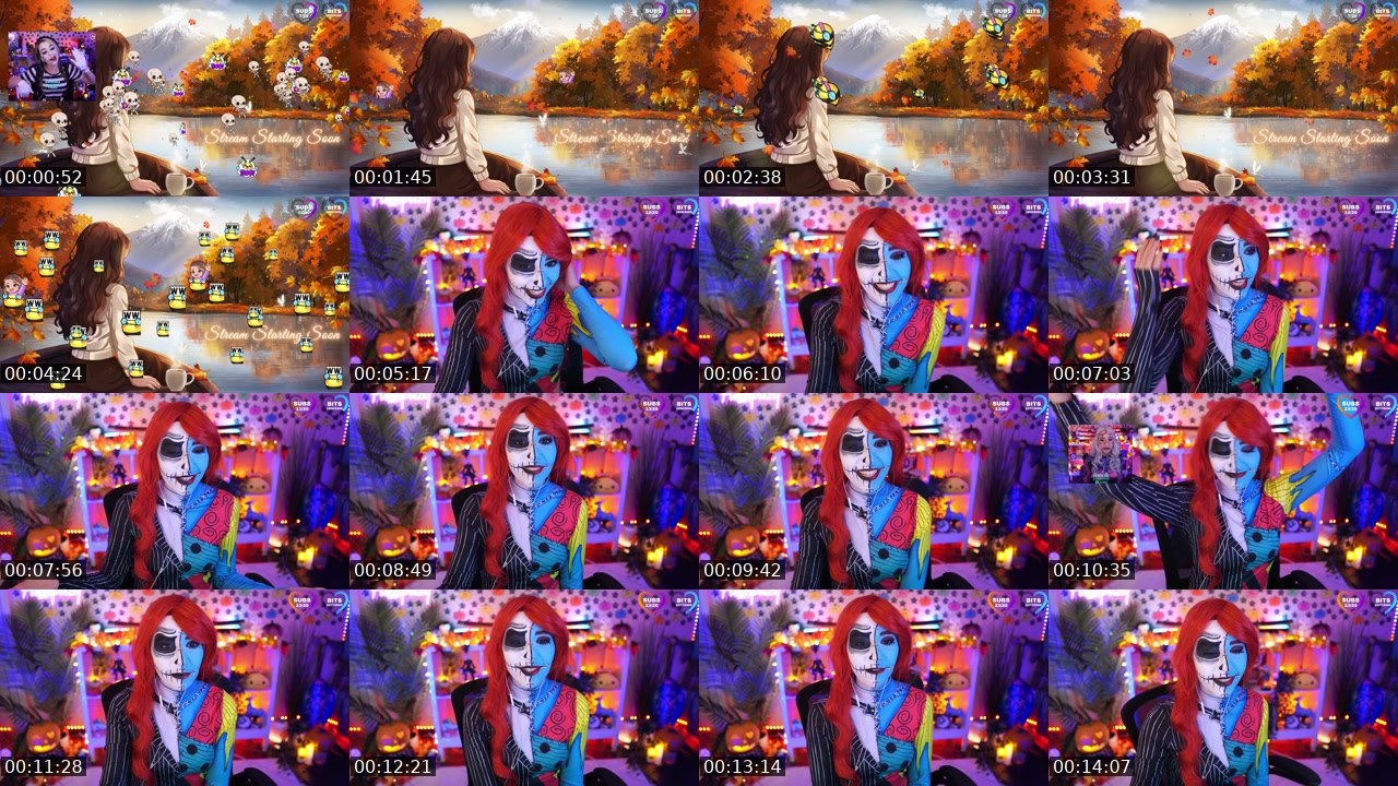 Contact-sheet preview of Fuzhpuzy's Twitch recording