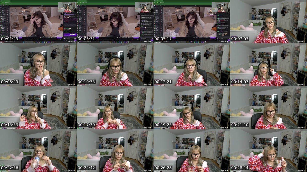 Contact-sheet preview of brinziez's Twitch recording