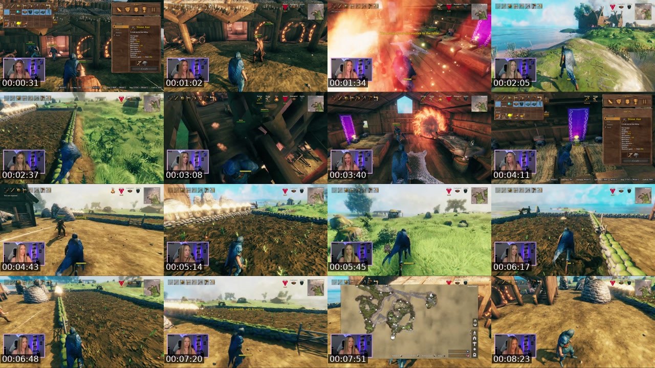 Contact-sheet preview of a_ChiC's Twitch recording