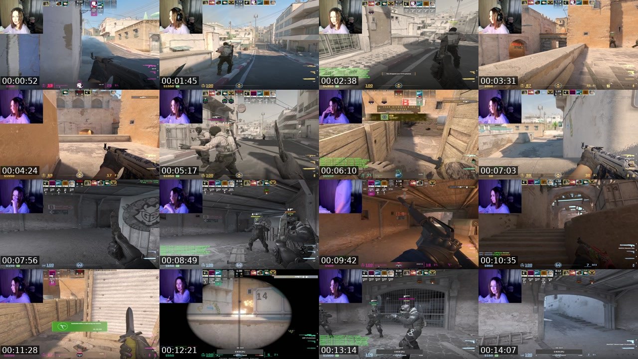 Contact-sheet preview of ariwka21's Twitch recording