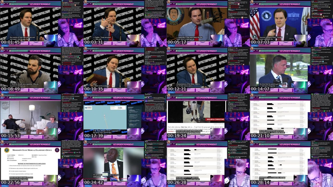 Contact-sheet preview of neurodetergent's Twitch recording