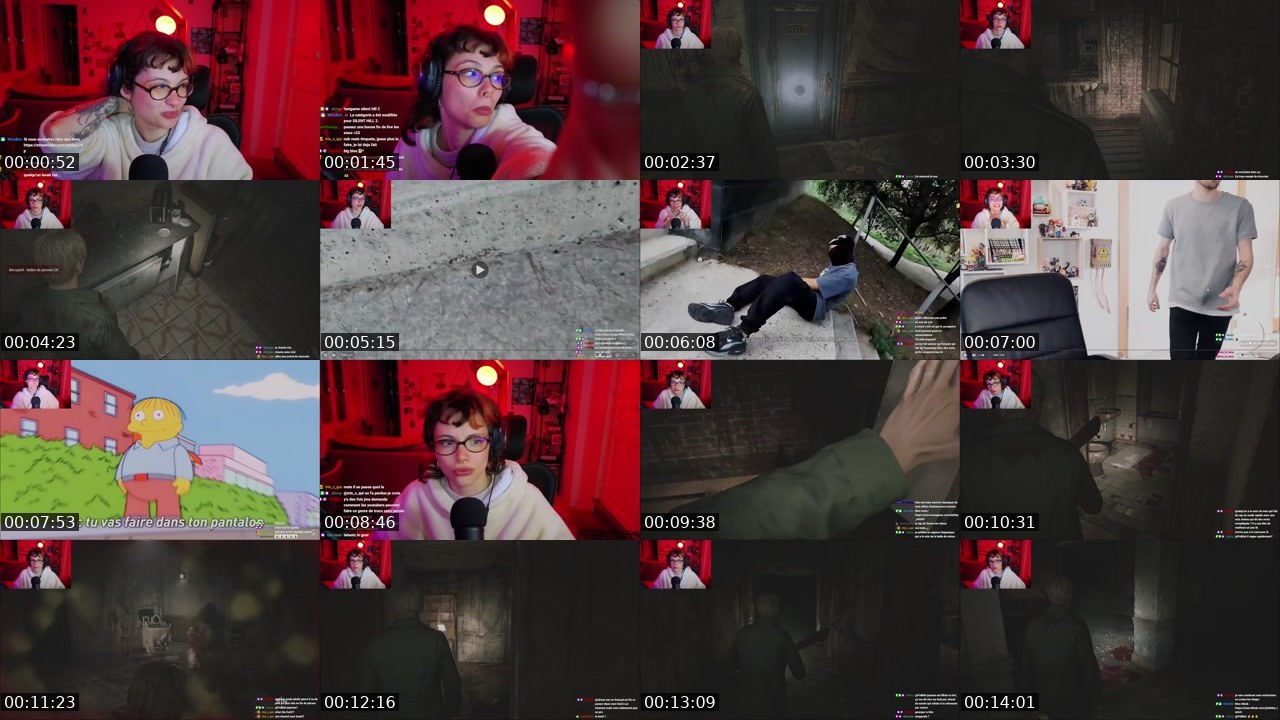 Contact-sheet preview of leihley's Twitch recording
