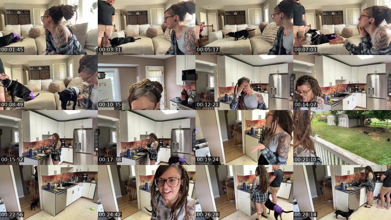 Contact-sheet preview of AlyssaWilds's Twitch recording