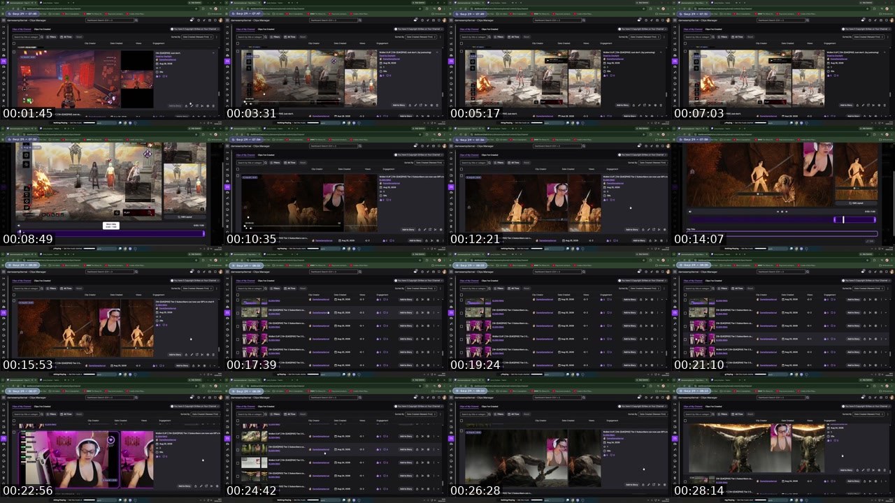 Contact-sheet preview of DameSempiternal's Twitch recording