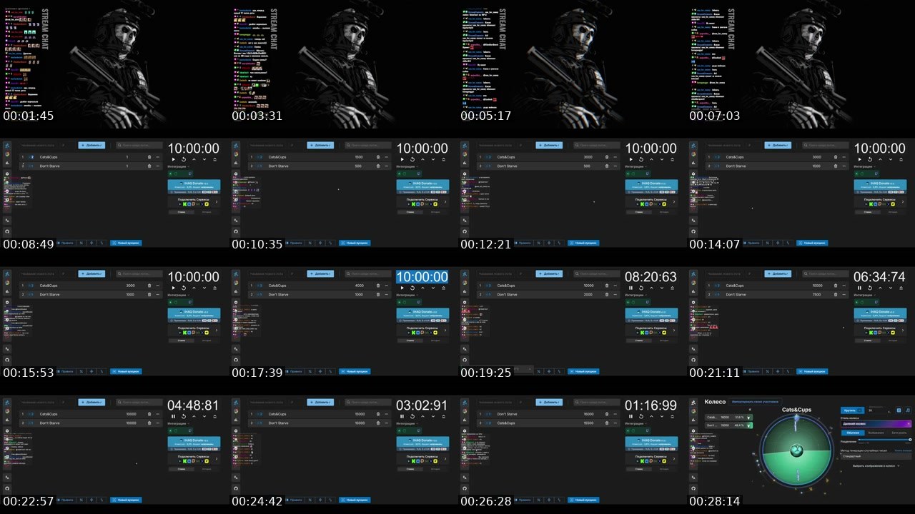Contact-sheet preview of marylithsokol's Twitch recording