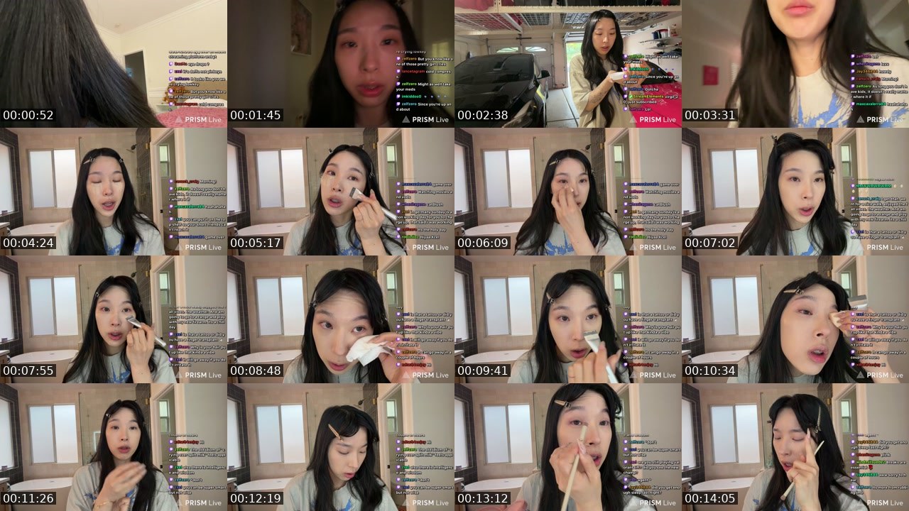 Contact-sheet preview of xElleLee's Twitch recording