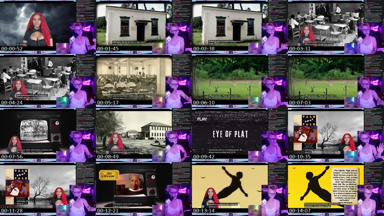 Contact-sheet preview of neurodetergent's Twitch recording