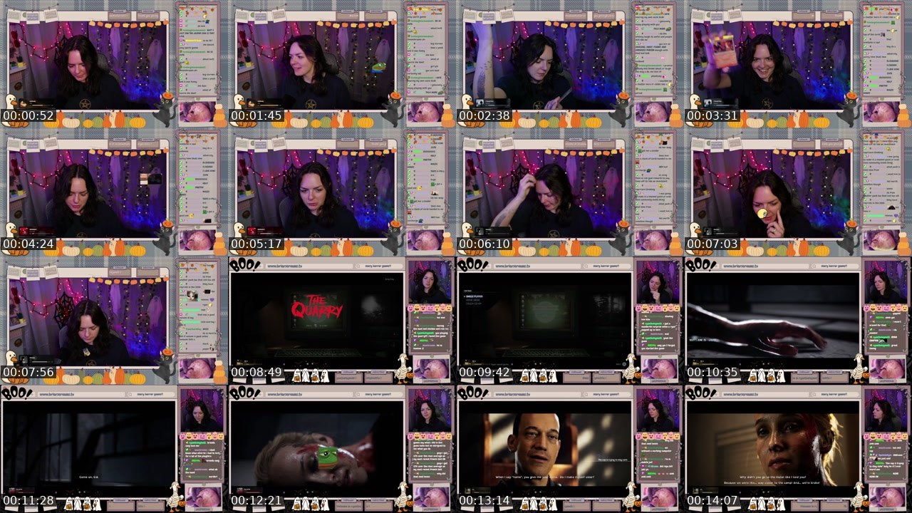 Contact-sheet preview of briarfeu1's Twitch recording