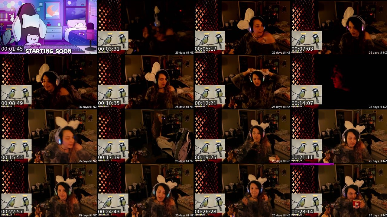 Contact-sheet preview of LivionaPrayers's Twitch recording