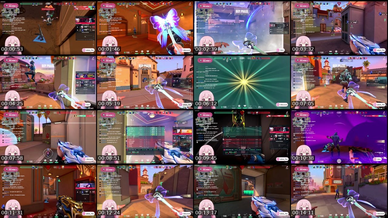 Contact-sheet preview of alaia_flw's Twitch recording