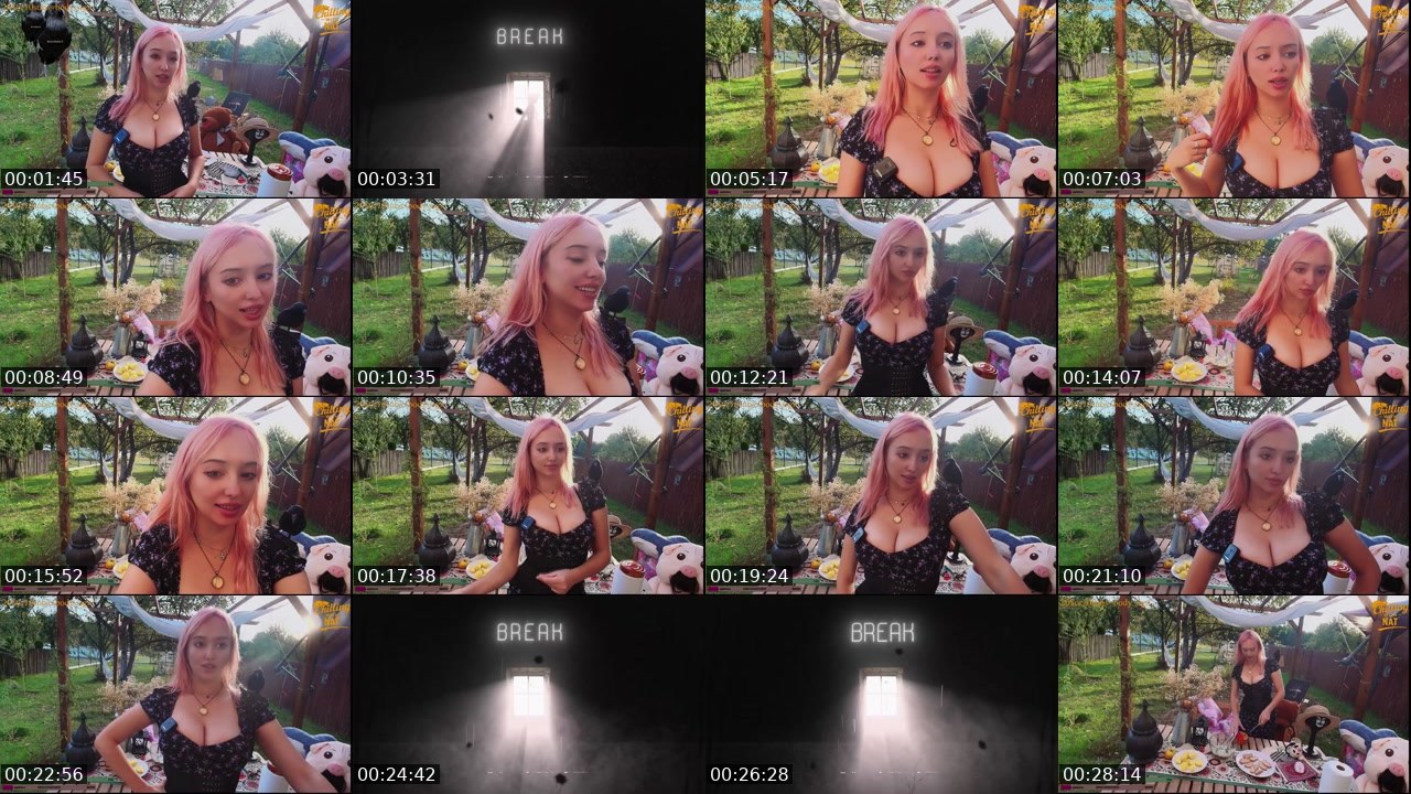 Contact-sheet preview of krypto_nat's Twitch recording