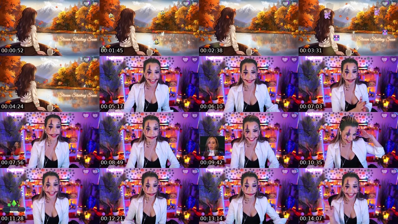 Contact-sheet preview of Fuzhpuzy's Twitch recording
