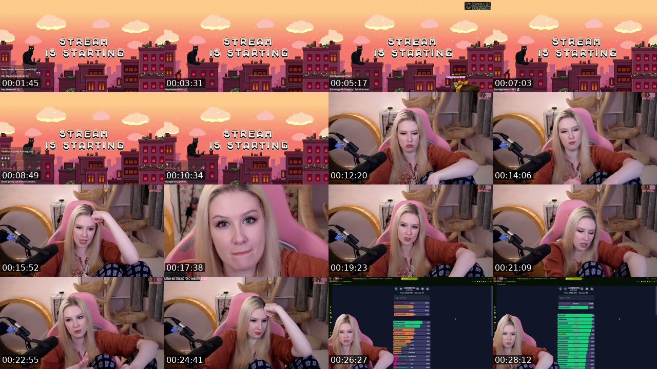Contact-sheet preview of DomesticBliss's Twitch recording