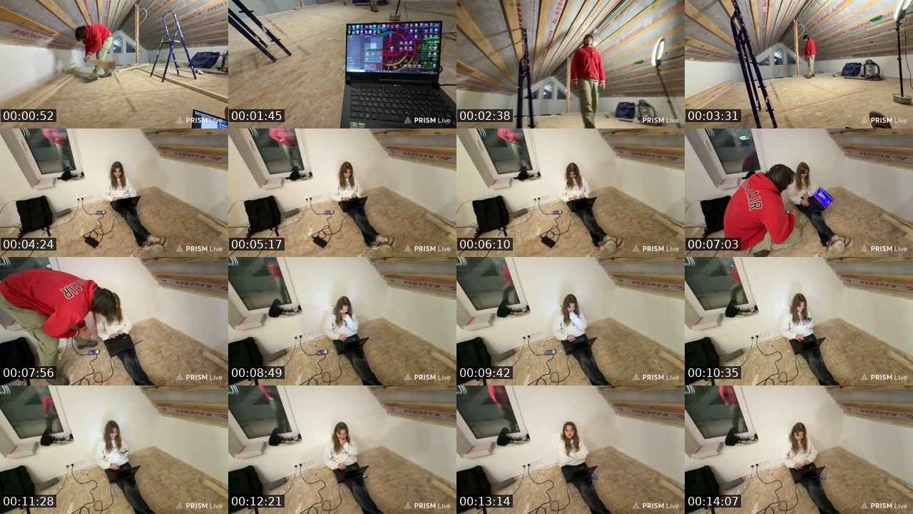Contact-sheet preview of kris_grizliks's Twitch recording