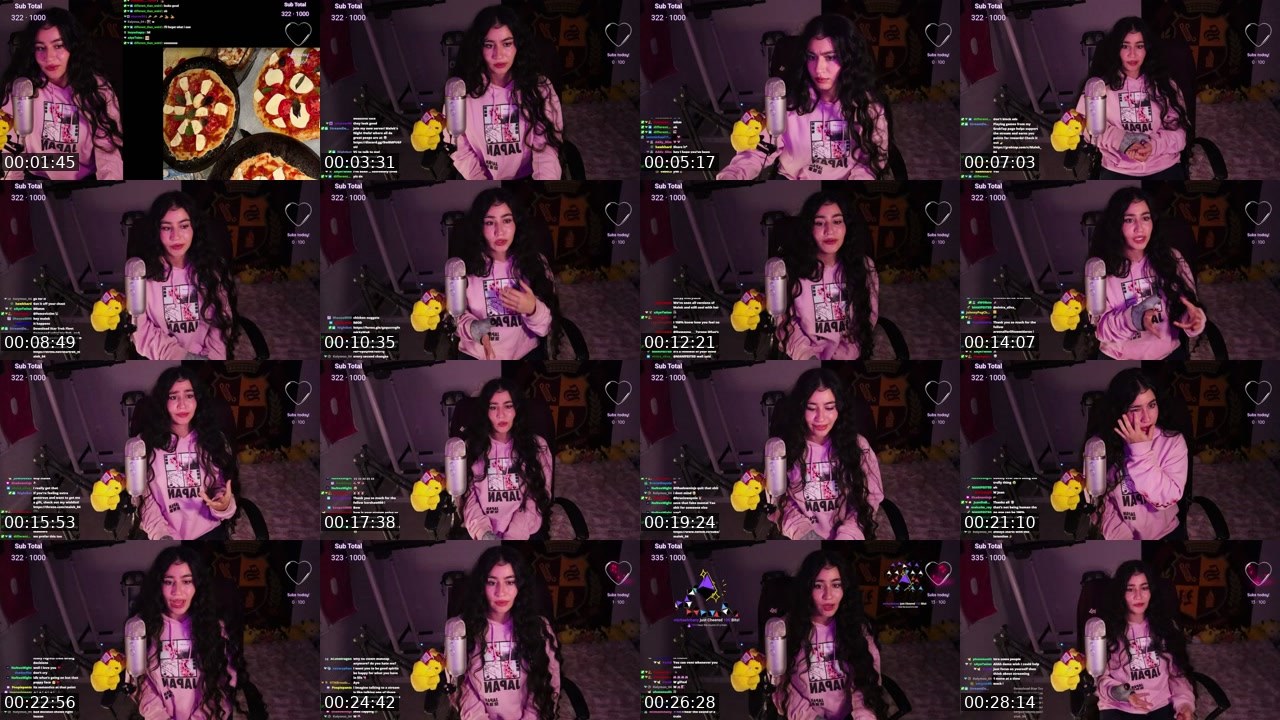 Contact-sheet preview of Malek_04's Twitch recording
