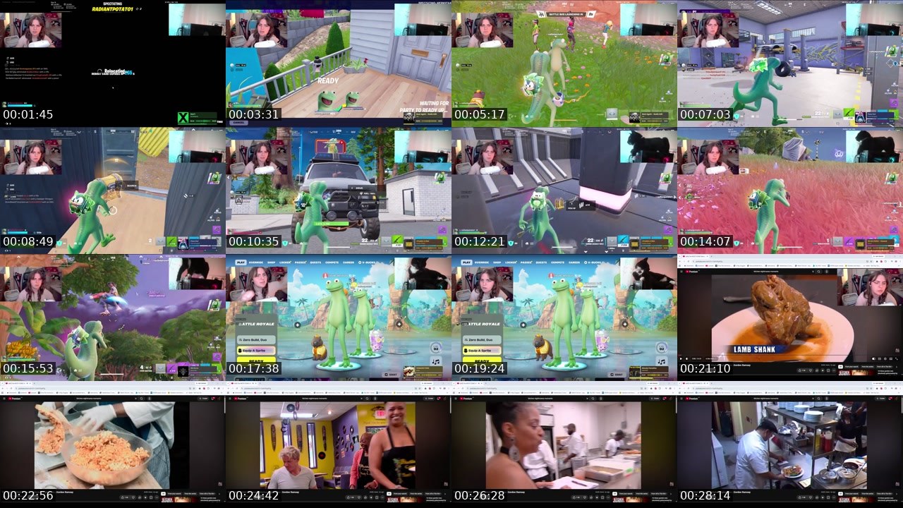 Contact-sheet preview of ilovecapybarasssss's Twitch recording
