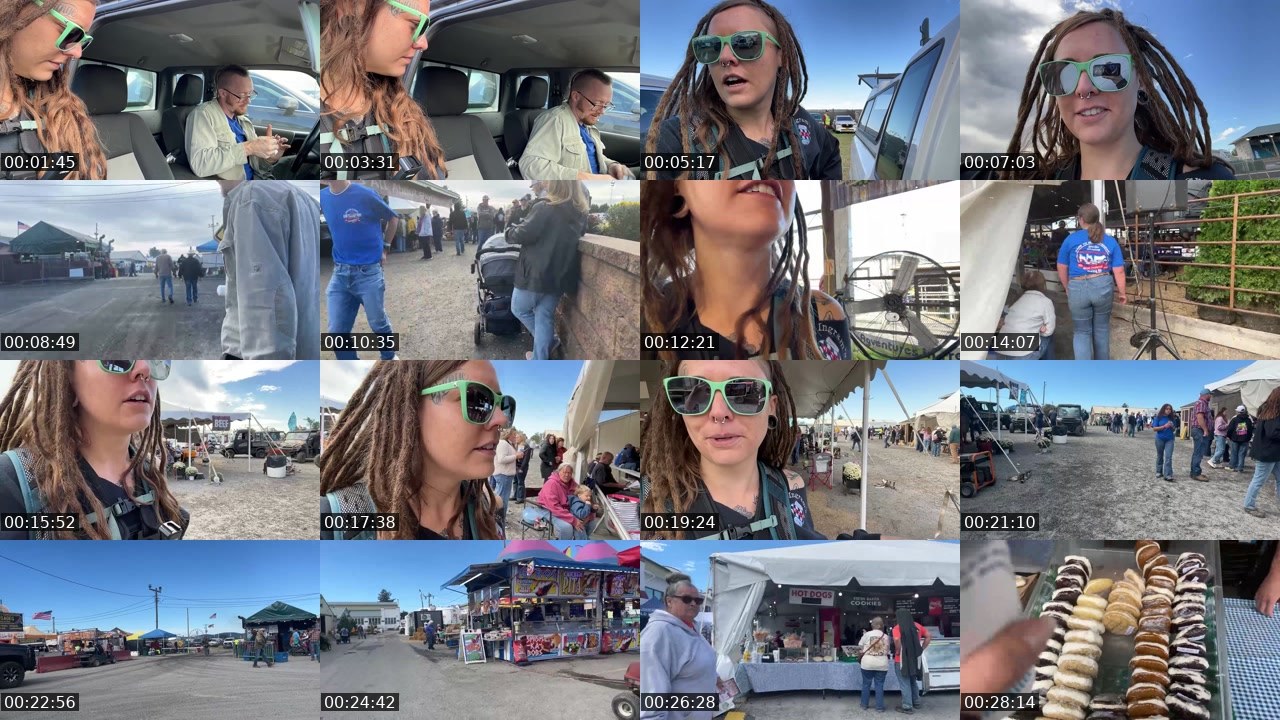 Contact-sheet preview of AlyssaWilds's Twitch recording