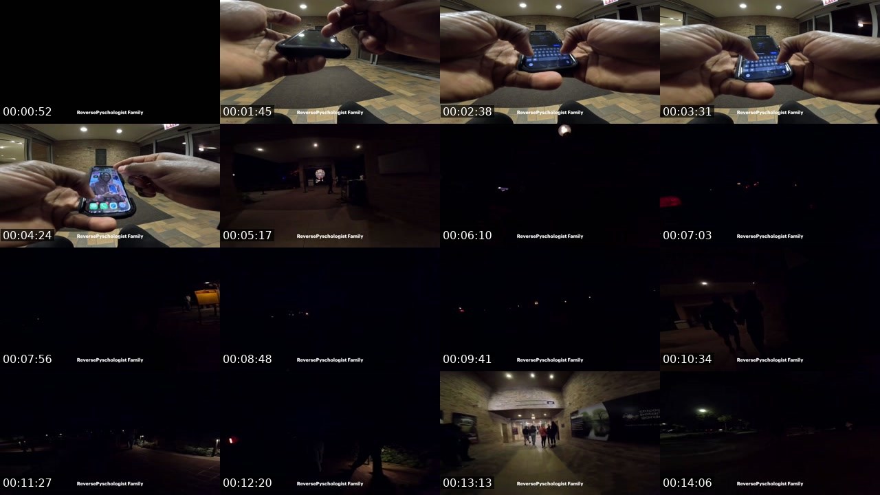 Contact-sheet preview of ReversePsychoanalysis's Twitch recording