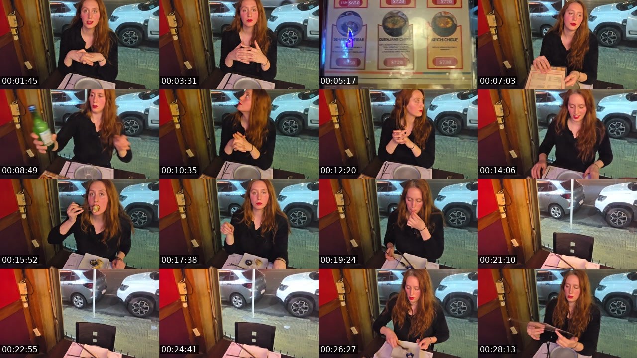 Contact-sheet preview of maarvalls's Twitch recording