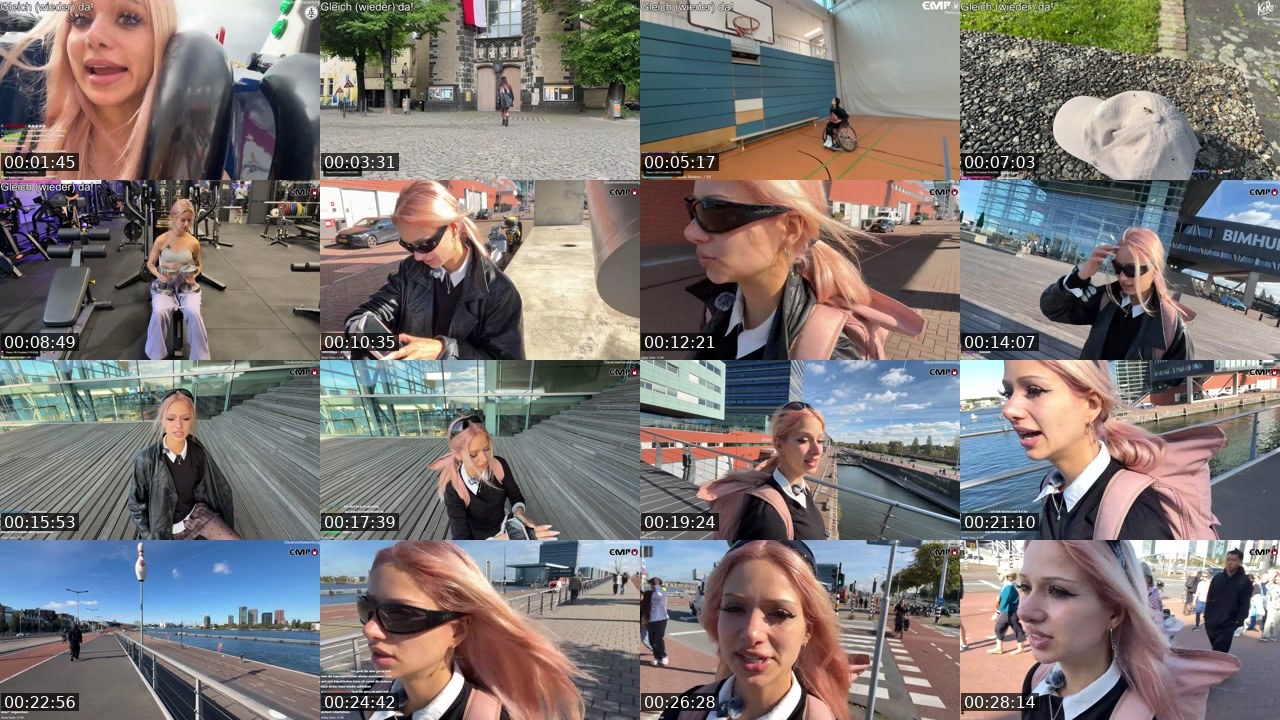 Contact-sheet preview of almostfeline's Twitch recording