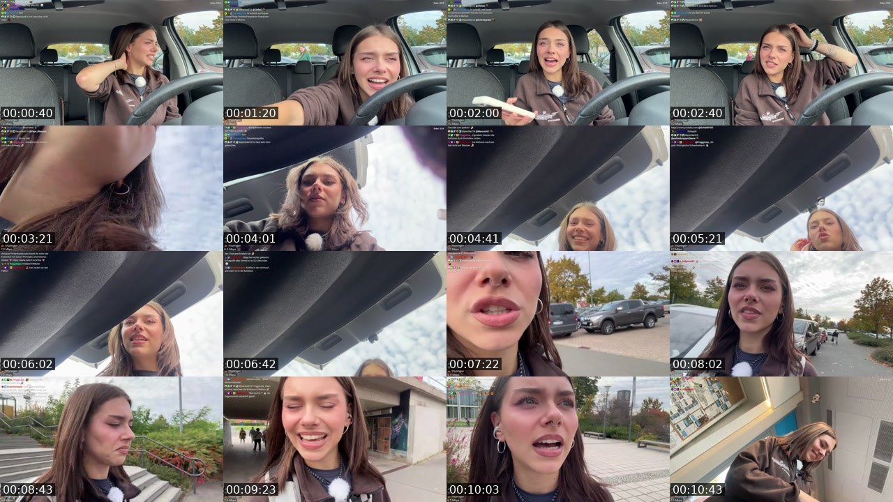 Contact-sheet preview of schiddii's Twitch recording