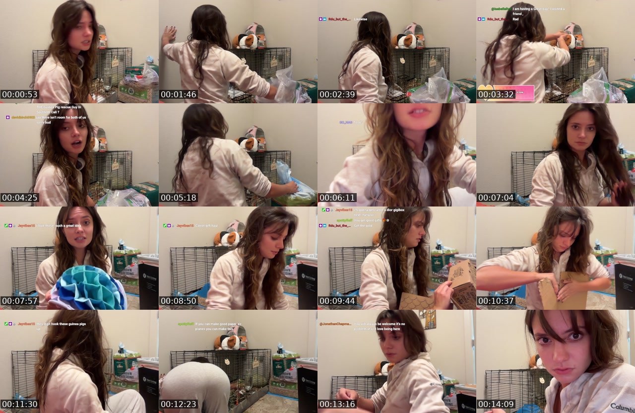 Contact-sheet preview of faithmaryfran's Twitch recording