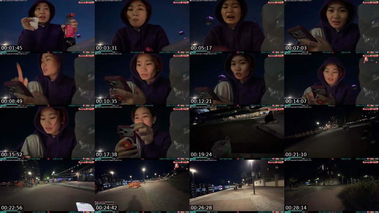 Contact-sheet preview of BerryOi's Twitch recording