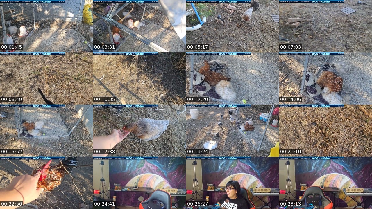 Contact-sheet preview of killerbunnyinrage's Twitch recording