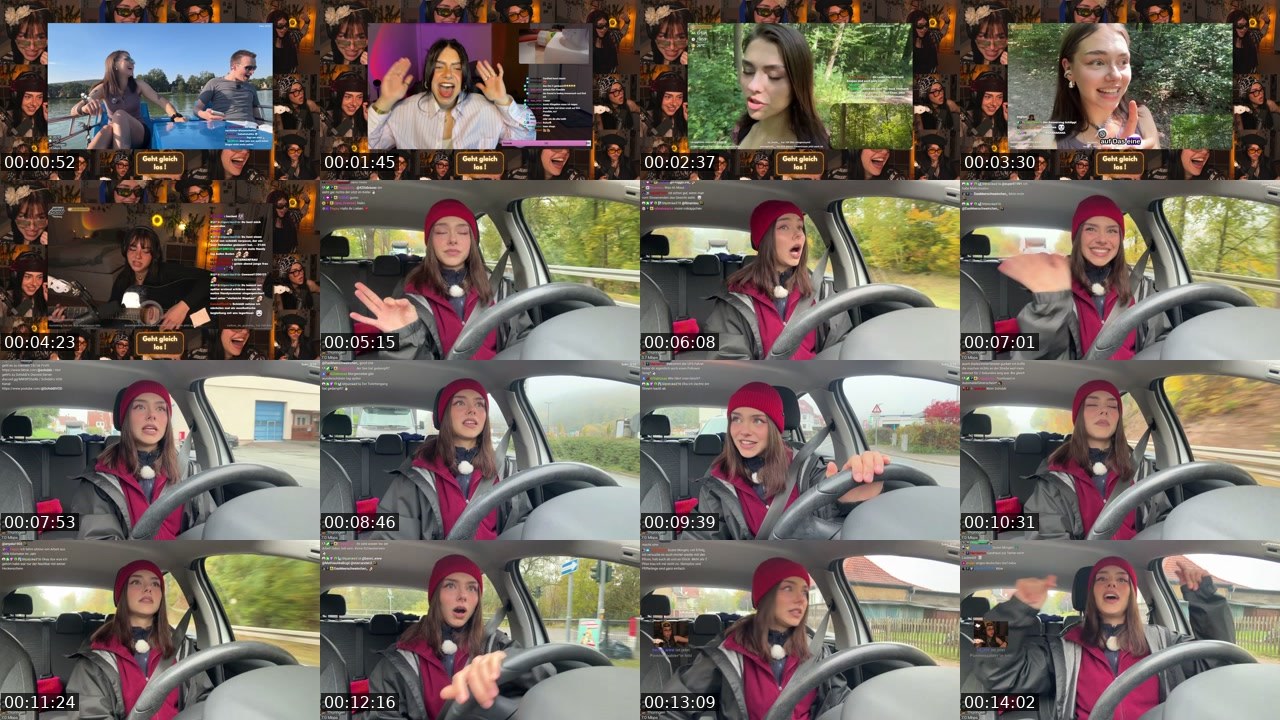 Contact-sheet preview of schiddii's Twitch recording