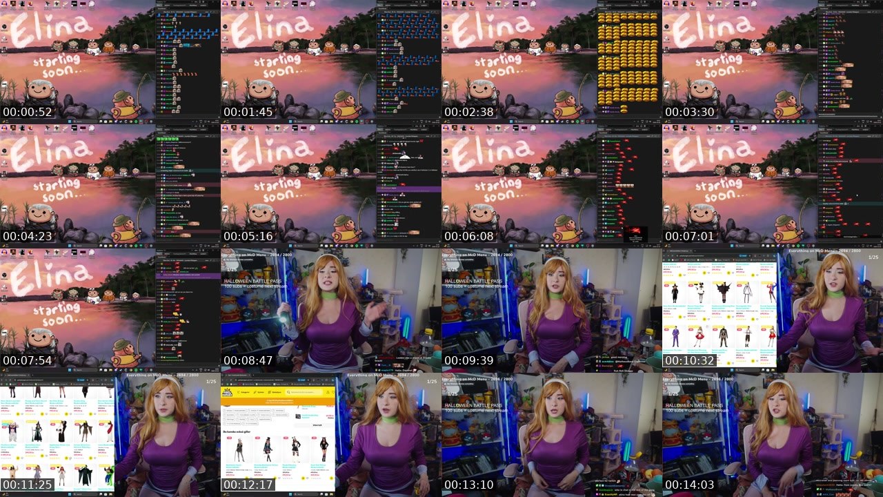 Contact-sheet preview of Elina's Twitch recording
