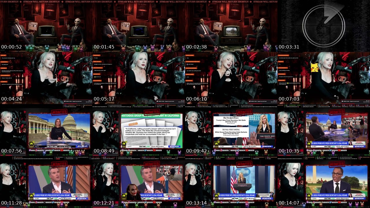 Contact-sheet preview of sadgirl's Twitch recording