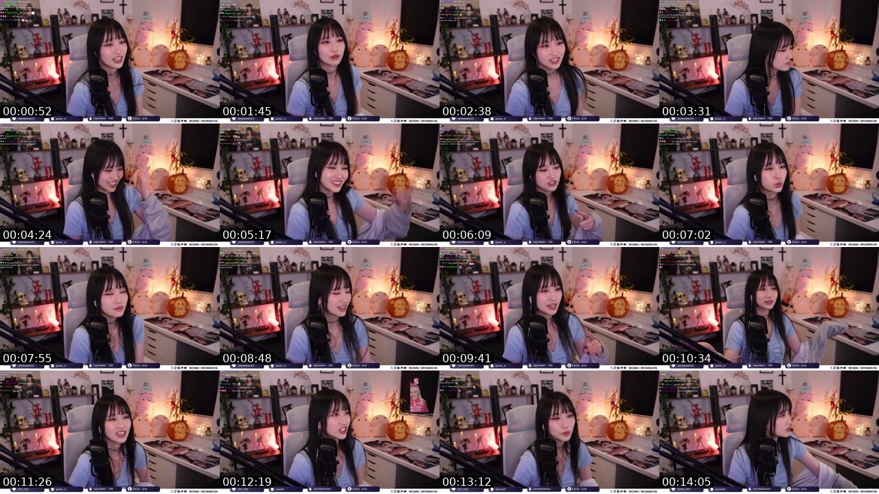 Contact-sheet preview of Wonni's Twitch recording