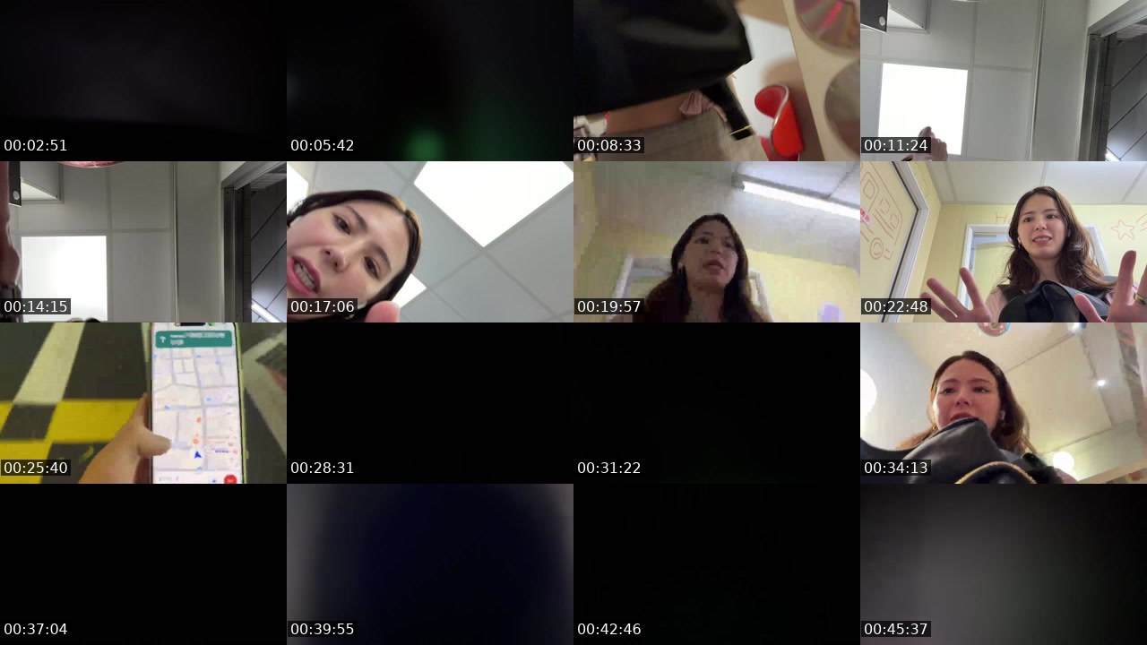 Contact-sheet preview of WithinLUXE's Twitch recording