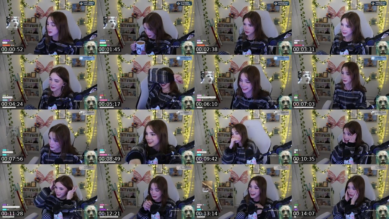 Contact-sheet preview of hollsbeauti's Twitch recording