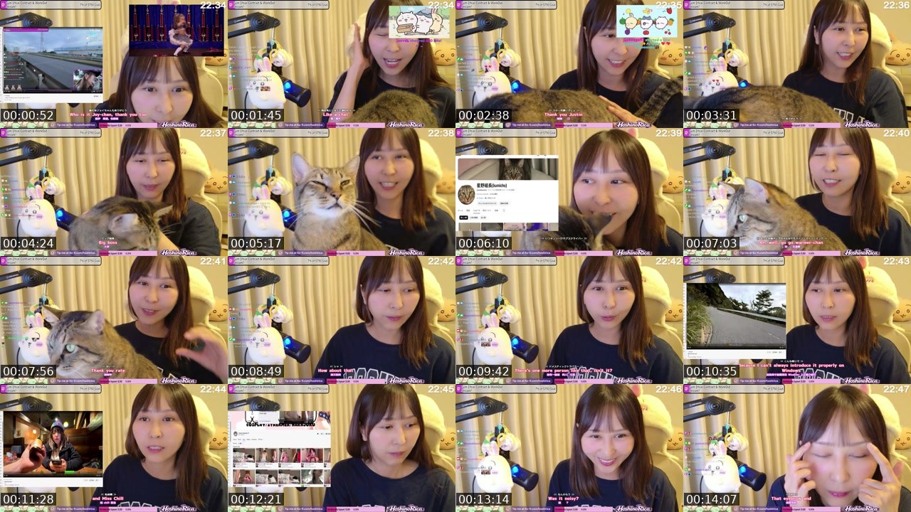 Contact-sheet preview of HoshiRica's Twitch recording