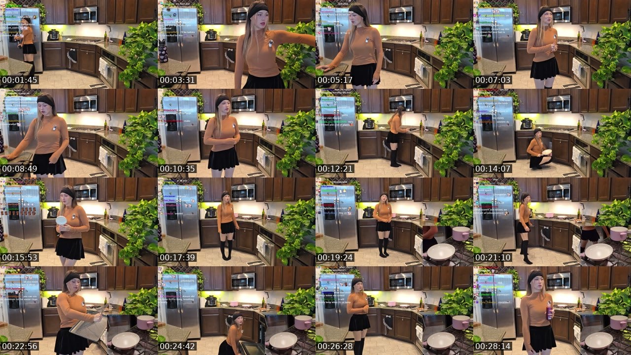 Contact-sheet preview of BluKitsune9's Twitch recording
