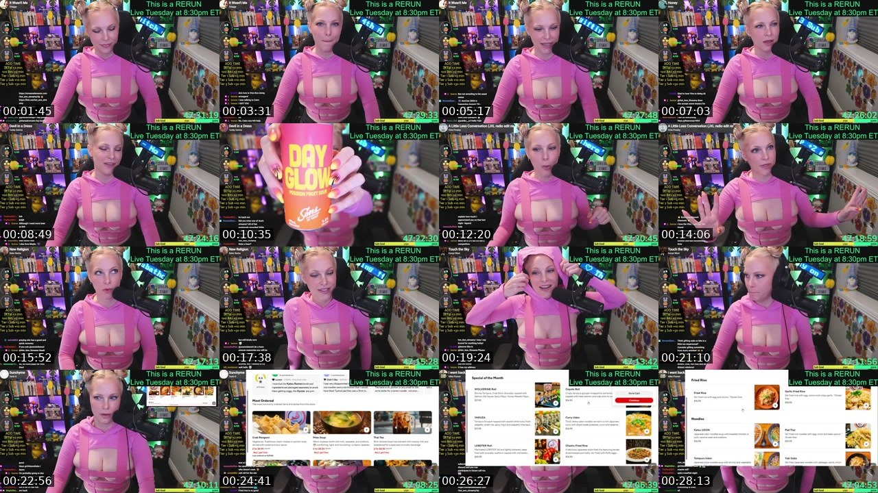 Contact-sheet preview of Hot_Ann_Streamy's Twitch recording