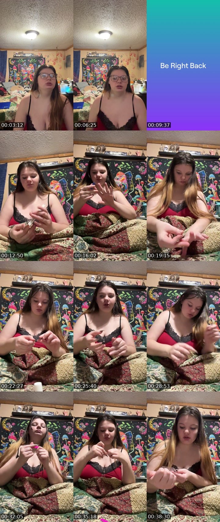 Contact-sheet preview of laynamalonee's Twitch recording